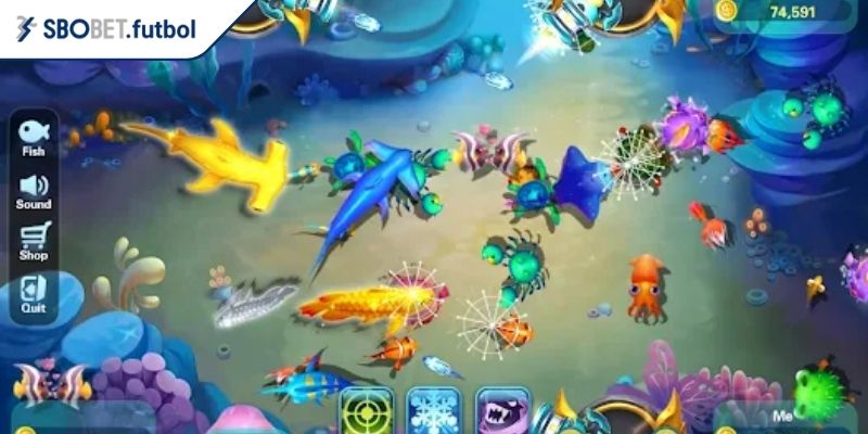 Giới thiệu tổng quan về Câu Cá Phát Tài SBOBET
