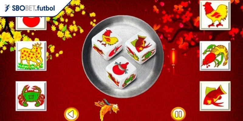 Khám phá thế giới Bầu của trực tuyến
