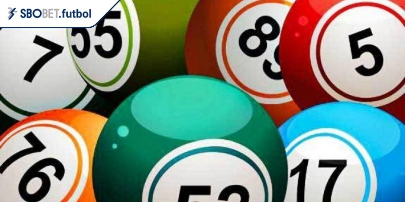 Nuôi lô khung 3 ngày