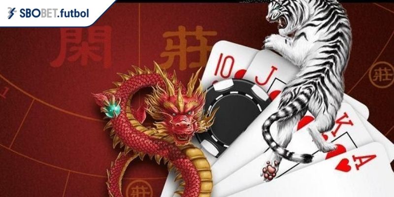 Bí quyết chơi Long Hổ SBOBET dễ thắng cho người mới