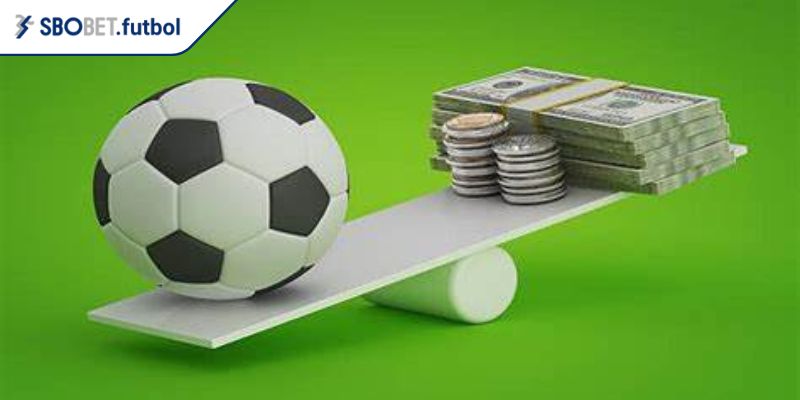 Phân tích các dữ liệu quan trọng để quyết định