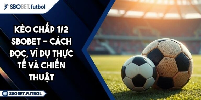 Kèo Chấp 1/2 SBOBET - Cách Đọc, Ví Dụ Thực Tế Và Chiến Thuật 3 Kèo chấp 1/2 SBOBET